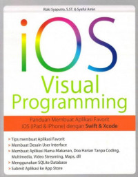 Image of IOS visual progamming