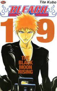 Image of Bleach vol. 19 : the black moon rising