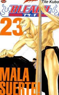 Image of Bleach vol. 23 : mala suerte!