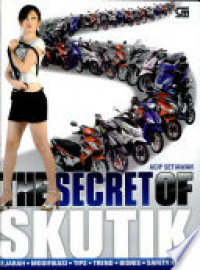 Image of The Secret of Skutik